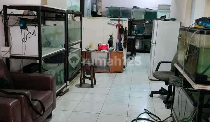 Dijual Rumah di Perum Taman Semanan Indah Cluster Dharma Puri