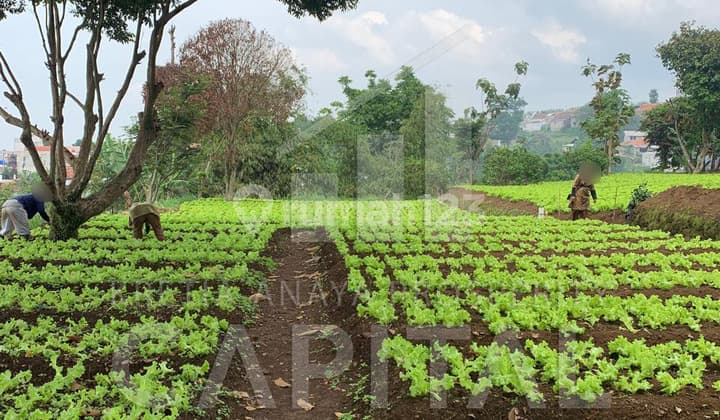Ready-to-Build Plot in Cihanjuang, Bandung