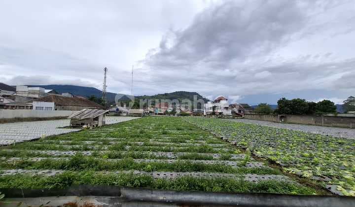 Dijual Kavling Murah Area Lembang