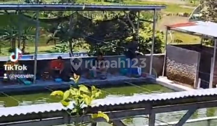 Villa Plus Pemancingan Cikerai Cocok untuk Investasi