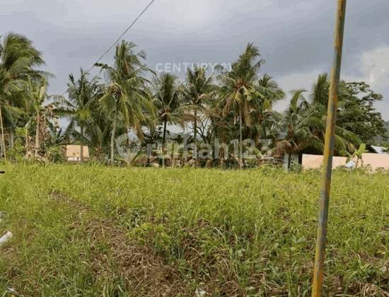 Tanah Sambidongko Cikerai Harga Miring Nego Sampai Deal