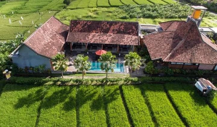 Dijual Villa di Canggu, Semat Berawa, Kuta Utara