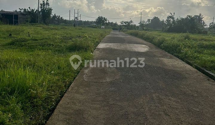 Tanah Aspek Perumahan Pemandangan Sawah bisa Sebagian di Tabanan