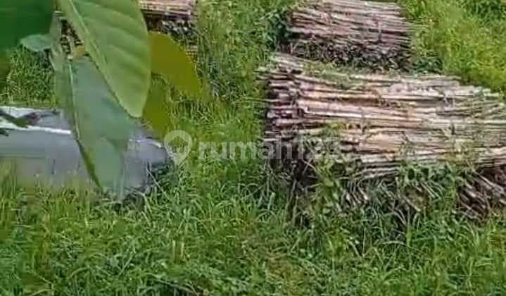 Tanah Luas Strategis Terminal Mengwi Zona Kuning Bringkit, Mengwi