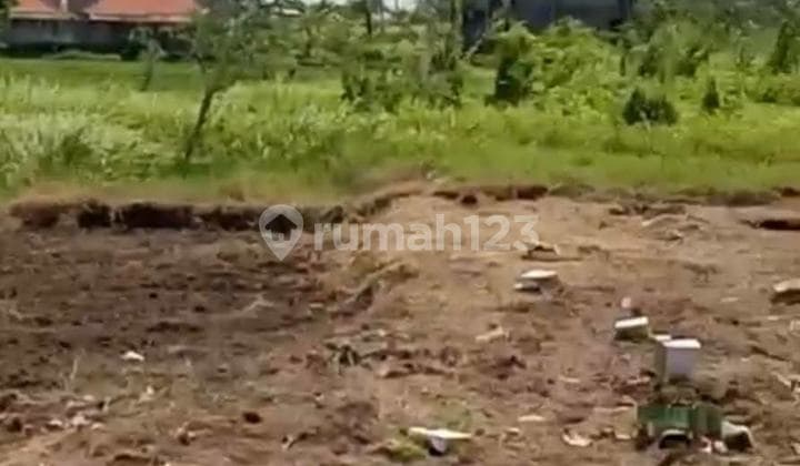 Tanah Premium Dekat Pantai Batu Bolong bisa Ambil Sebagian Canggu