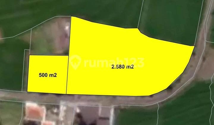 Tanah Zona Pink Strategis Jalan Aspal Dekat Pantai di Cemagi