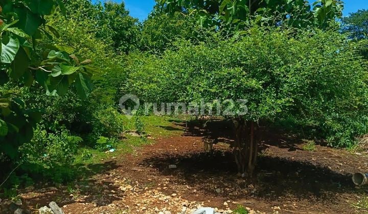 Dijual Tanah di Jimbaran €" Jl. Raffles
