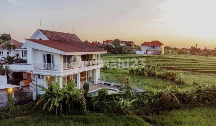 Villa View Sawah Strategis With Pool Furnished di Canggu