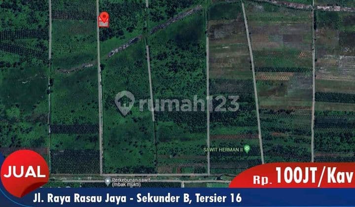 Rasau Jaya 3 Plot