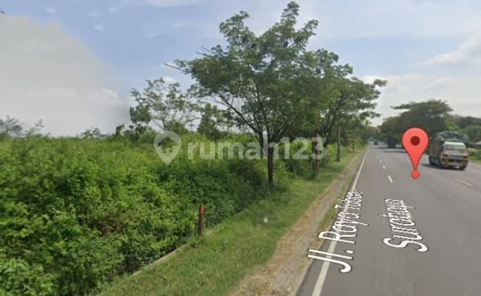 Tanah 40 Ha SHM Jl Provinsi Kota Tuban,Mrutuk Utara, Kec Widang