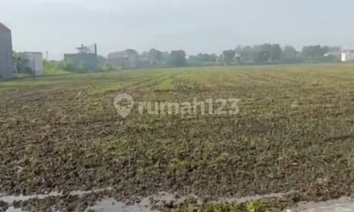 Sukodono Sidoarjo Land, SHM, Near Suruh Elementary School, Sukodono Police Station.