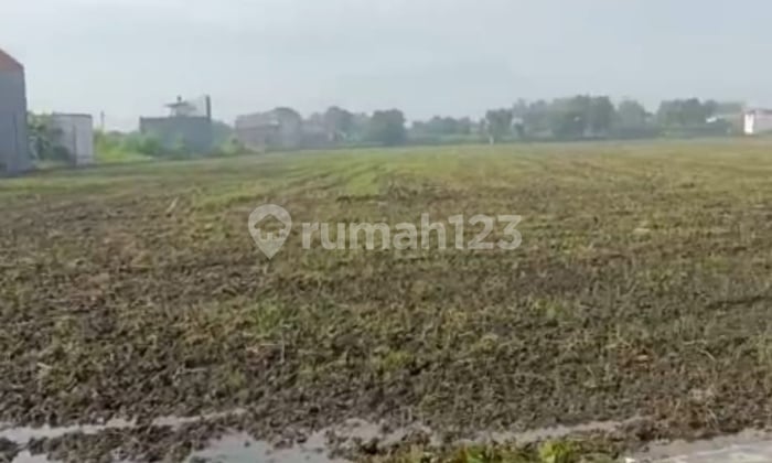 Tanah Sukodono Sidoarjo,Shm,Dkt Sd Suruh,Polsek Sukodono