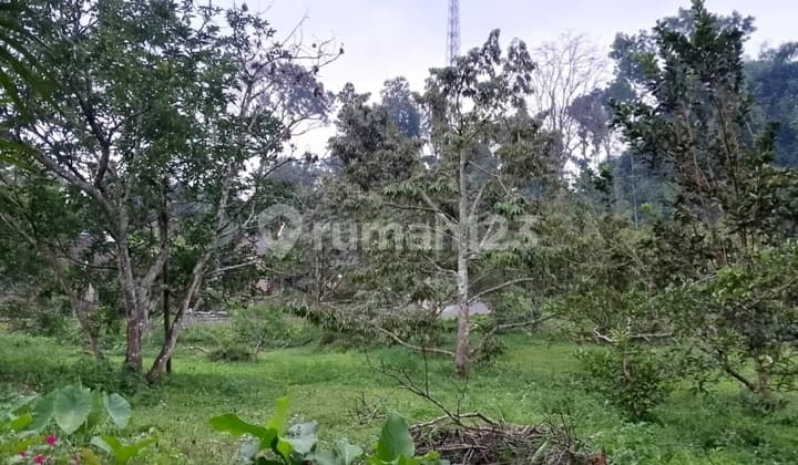Tanah Kavling 3.5 Ha Wonosalam Jombang
