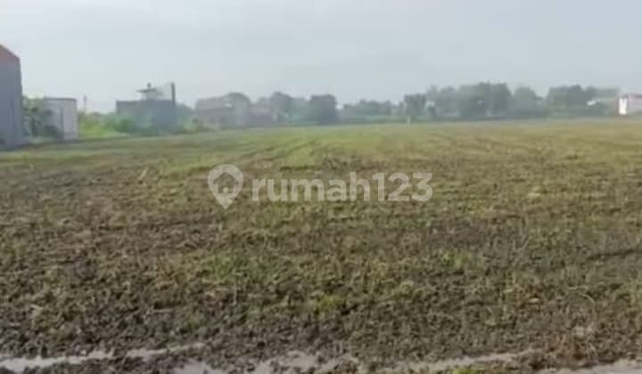 Tanah Kavling 8400 M² Sukodono Sidoarjo SHM Dkt Kletek