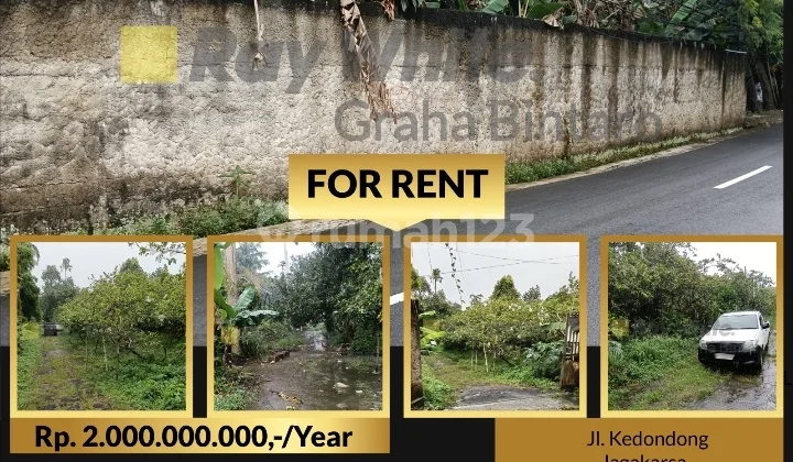 Tahan Tanah Kosong Luas di Sewakan Per Tahun Dgn Harga Nego