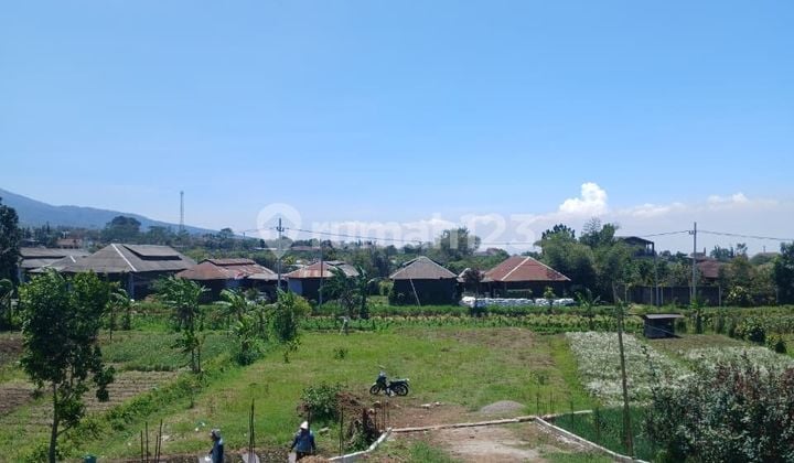 Diskon Khusus Villa Modern Batu Lokasi Nyaman Jalan Kavling Lebar