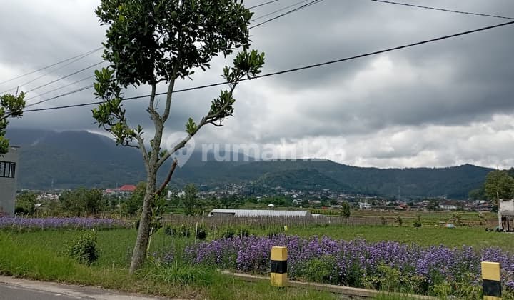 5 Menit Selecta Villa Pitu Metro Bayar Angsur Include Fasum