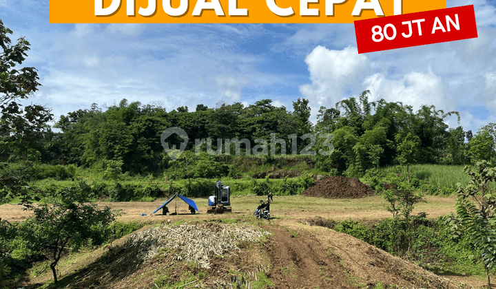 Bisa Cicilan Bertahap, Tanah, SHM, di Malang Kota