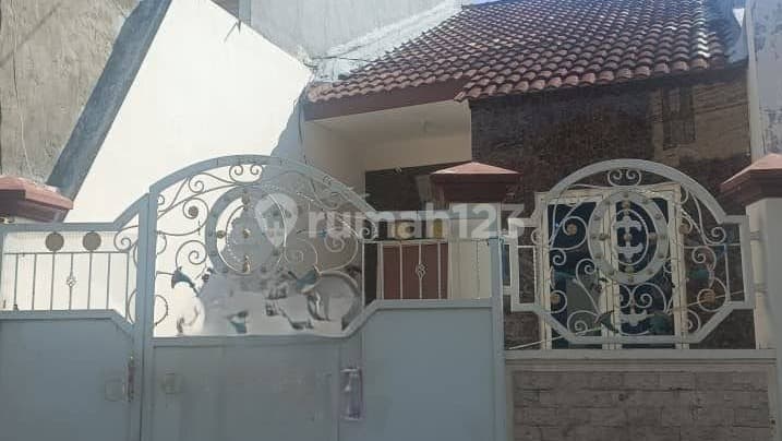 Rumah Disewakan di Daerah Karang Empat Luas dan Nyaman