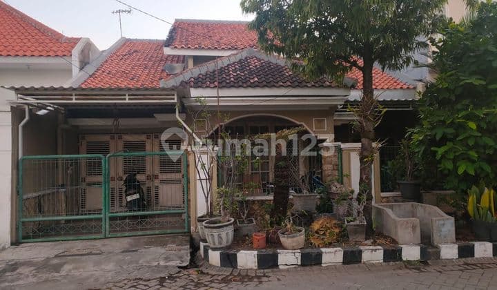 Dijual Rumah di Daerah Rungkut