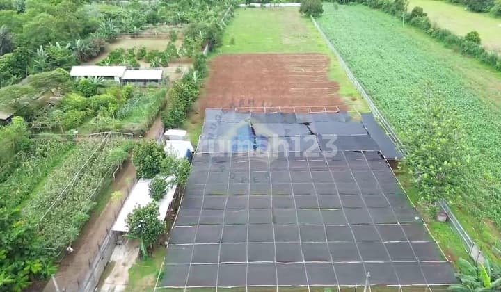 Dijual Dijual Tanah di Dangdang, Cisauk Tangerang