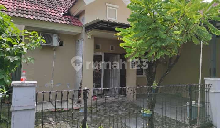Rumah Bagus 1 Lantai Posisi Hook, Citra Dahlia Tropodo