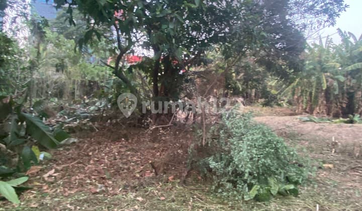 Rumahhitung Tanahrga Dibawah NJOP di Pasar Minggu