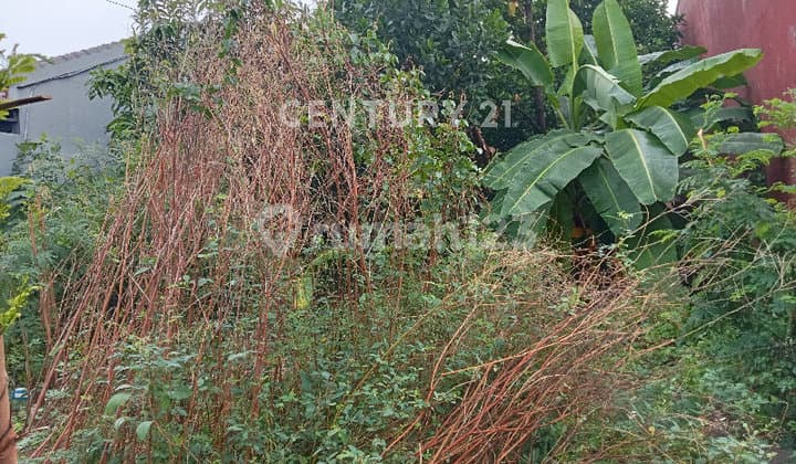 Tanah Luas dan Strategis Siap Bangun di Kota Tegal