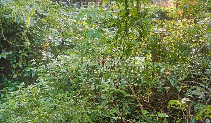 Spacious, Commercial, and Strategic Land Suitable for Business in Slawi