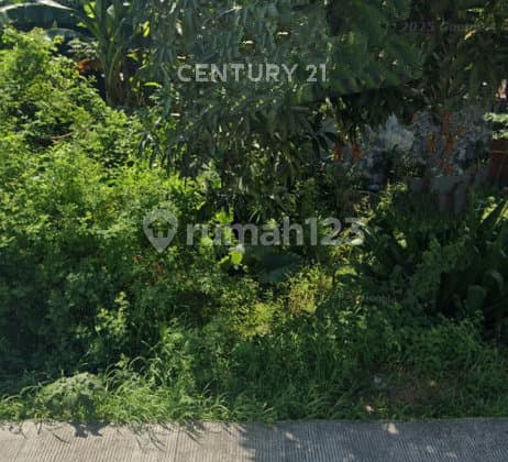 Tanah Luas, Strategis, Akses Kendaraan Besar di Suradadi