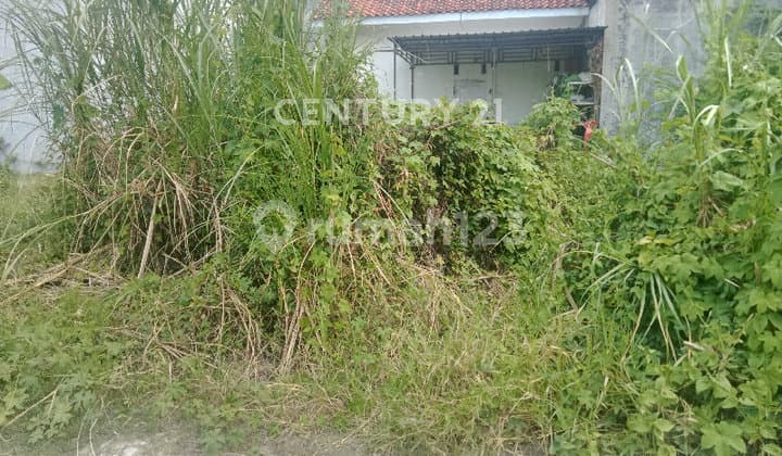 Tanah Siap Bangun di Lingkungan Nyaman di Kota Tegal