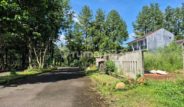 Hot Listing Tanah Kavling Bentuk Kotak Harga Terbaik di Bogor Nirwana Residence