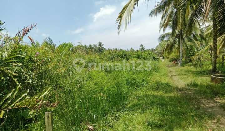 Dijual Tanah Mainroad Waru, Kalimantan Timur