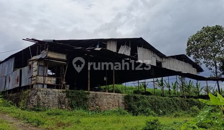 Dijual Tanah Industri Jl Raya Jabung Pakis Malang SHM