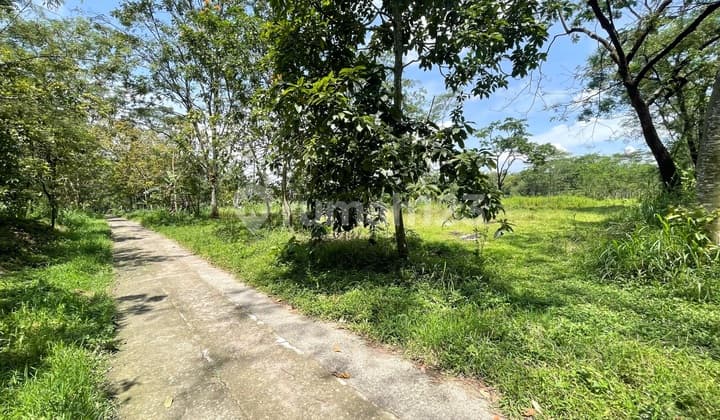 Tanah Dijual Boyolali Lokasi Mojosongo Boyolali