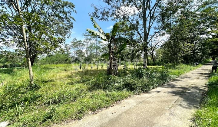 Land for Sale Boyolali Cheap Location in Mojosongo Boyolali
