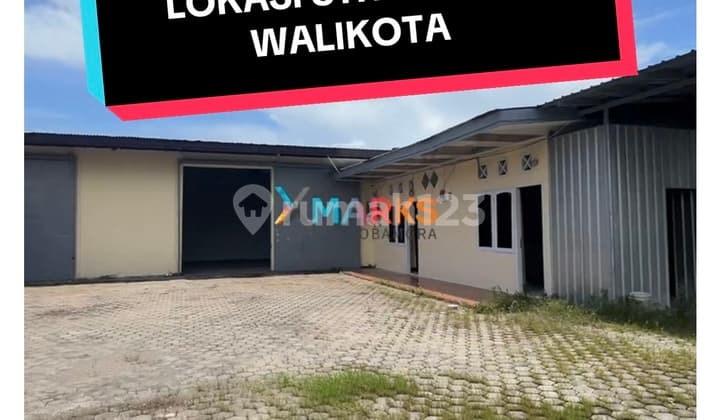 Dijual dan Dikontrakan Gudang Lokasi Walikota Kupang Ntt