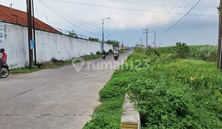 Dijual Tanah Strategis Dekat Pasar & Alun-Alun Ngoro