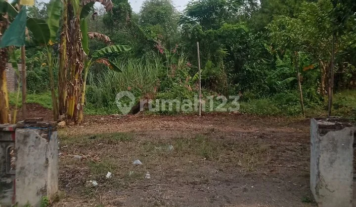 Dijual Tanah Kosong Perkampungan Siap Bangun