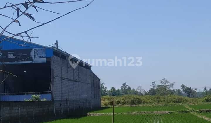 Tanah Murah Lokasi Jalan Poros