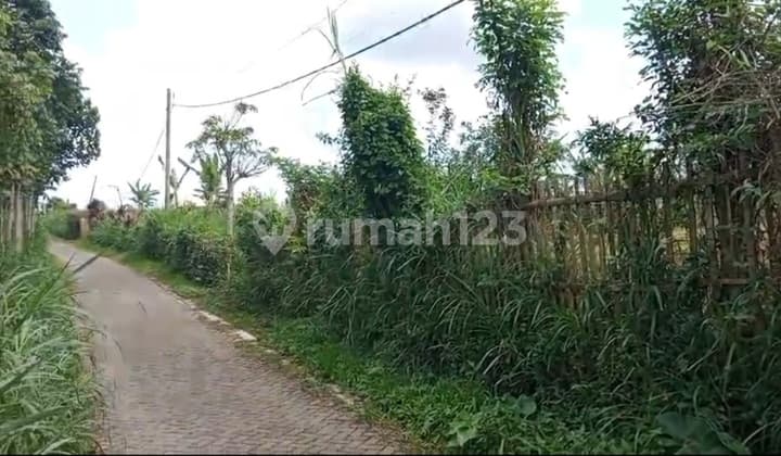 Kebun Subur Berhawa Sejuk