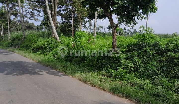 Kebun Murah Akses Mudah