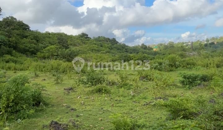 Tanah Luas dengan Harga Miring Sangat Cocok untuk Investasi Ataupun Usaha