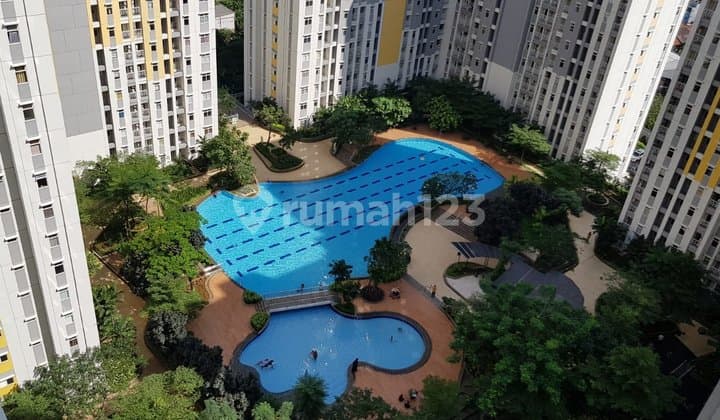 Apartemen 1Br Springlake Summarecon Bekasi Elodea LT 6 Ful Furnished