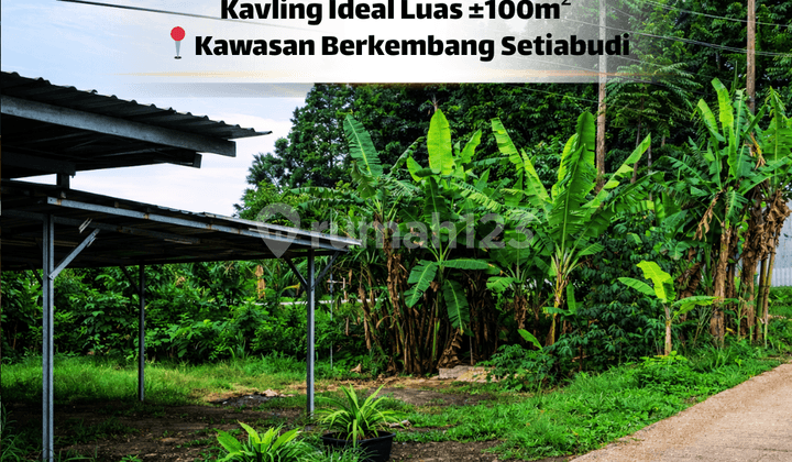 Kavling Ideal 100M² di Kawasan Berkembang