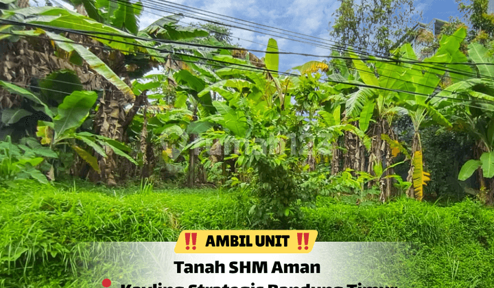 Bangun Sekarang atau Simpan Nilainya