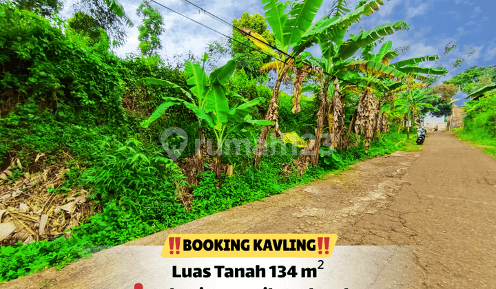 :Zap: Kavling Padasuka - Harga Masih Terjangkau