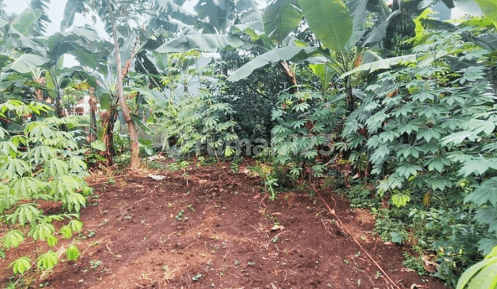 Kavling Luas Cicendo Bandung - Cocok Hunian & Investasi