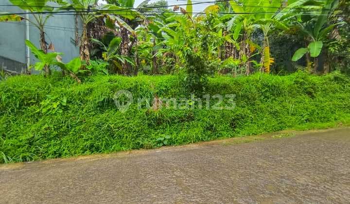 :Fire: Momentum Terbaik Beli Tanah di Padasuka