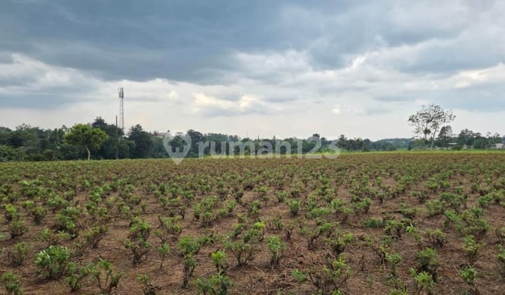 Tanah Strategis di Jl. Raya Parung - Bogor